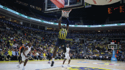 Fenerbahçe Beko - ASVEL Lyon maç sonucu: 84-63