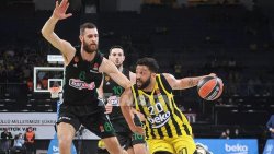 Fenerbahçe Beko - Panathinaikos maç özeti